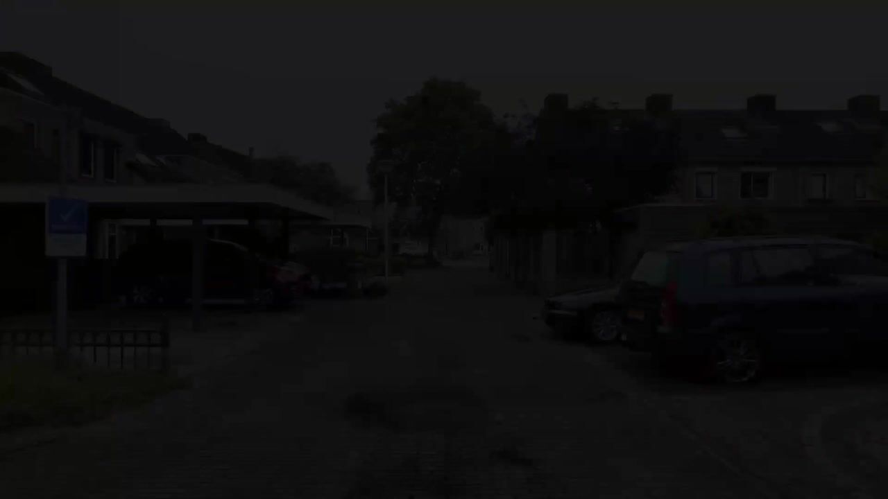 Video of Jan de Withof 90