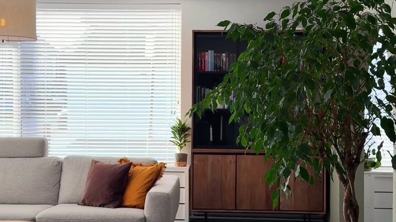 Video van Boëtiusstraat 6