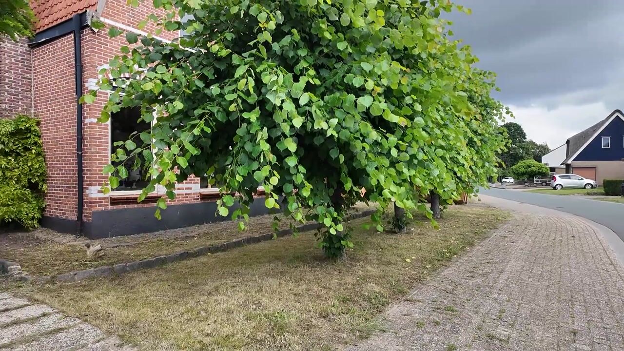 Video van Klapstraat 23