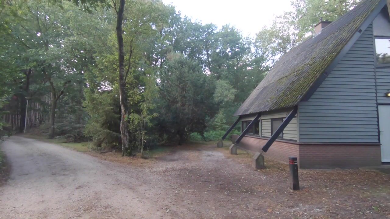 Video van Bosrand | 20