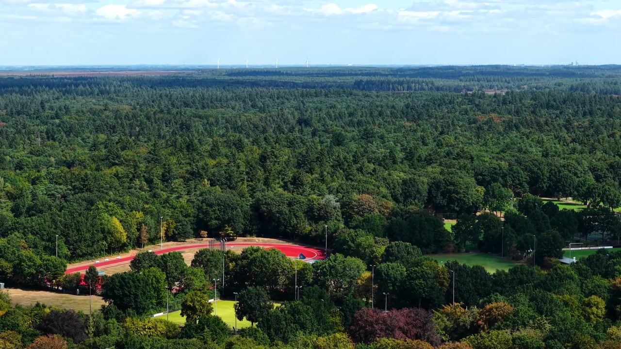 Video van Pelzerpark 54