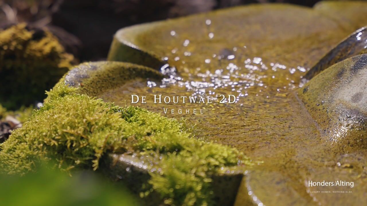 Video van De Houtwal 2-D