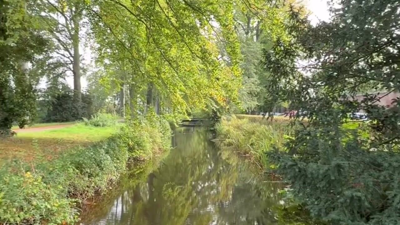 Video van Spanderswoud 5
