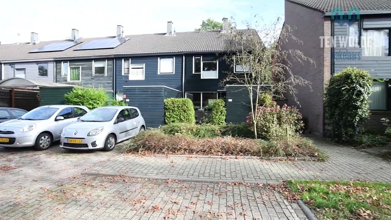 Video van Ruinerbrink 138