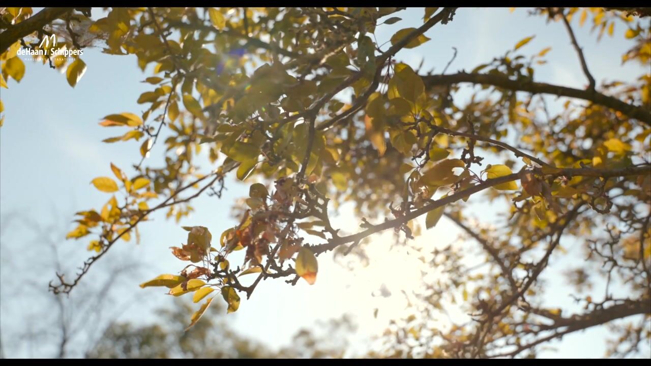 Video of Borgersteeg 1