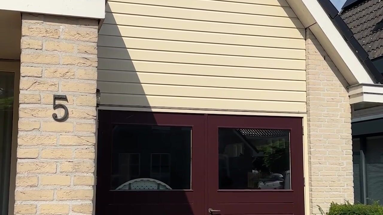 Video of Flank 5