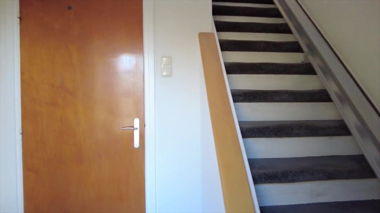 Video of Venloseweg 111