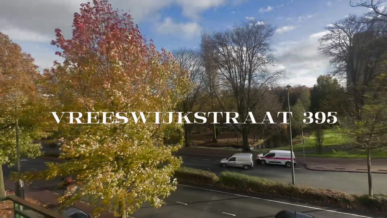 View video of Vreeswijkstraat 395