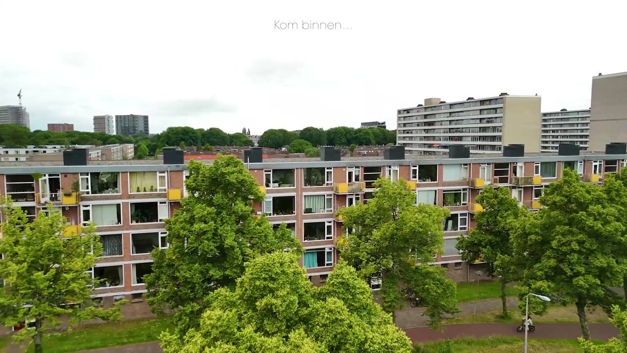 Video van Moezeldreef 175