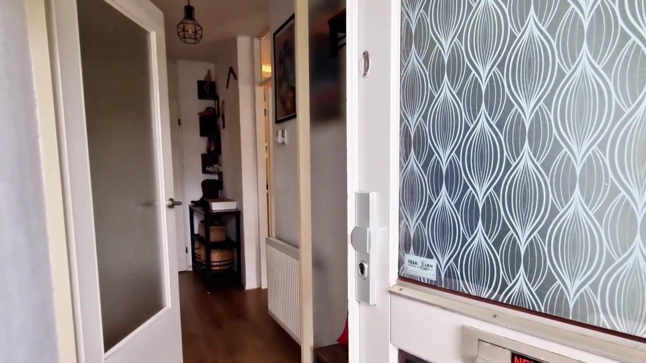 Video van Delftweg 148