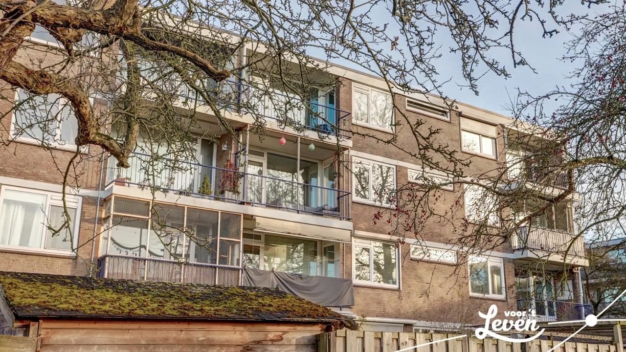 Video van Chirurgijnstraat 13