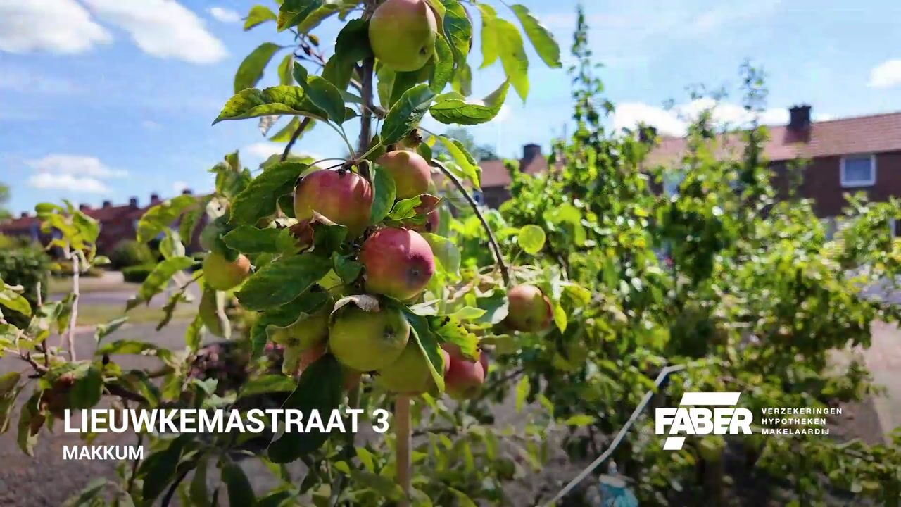 Video van Lieuwkemastraat 3