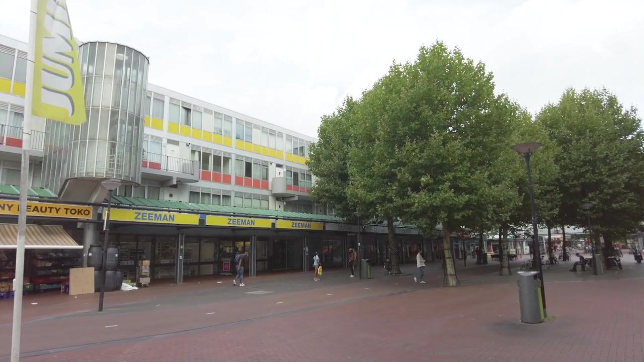 Video van Reigersbos 146