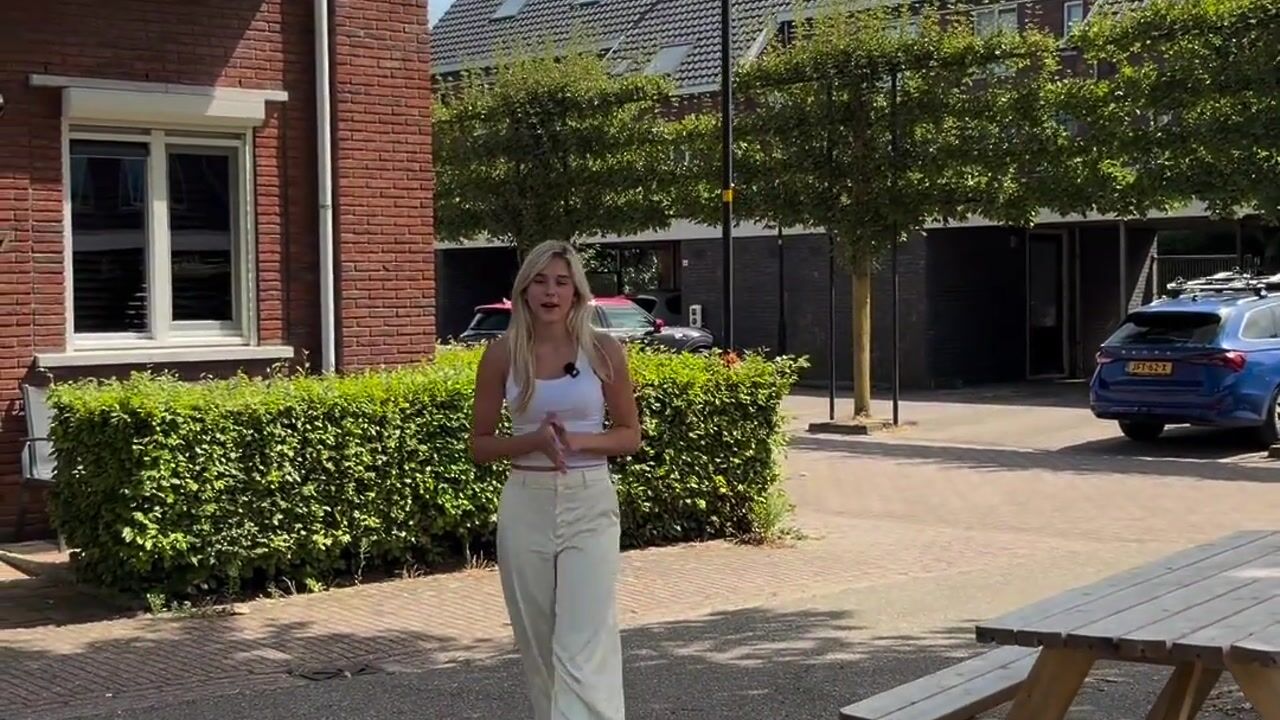 Video of Ringdijk 21