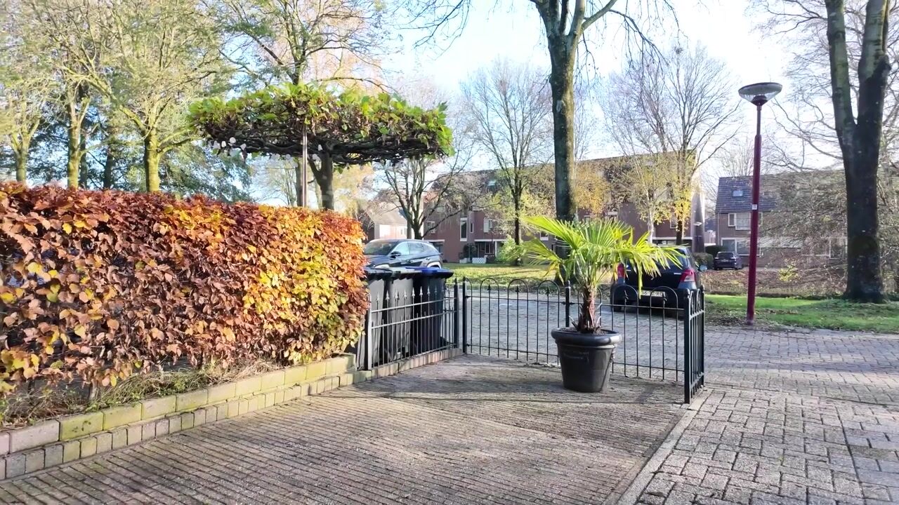 Video of Koriandergaarde 10