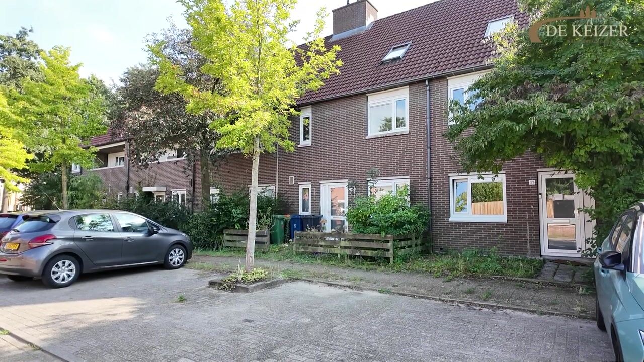 Video van Roerdompweide 33