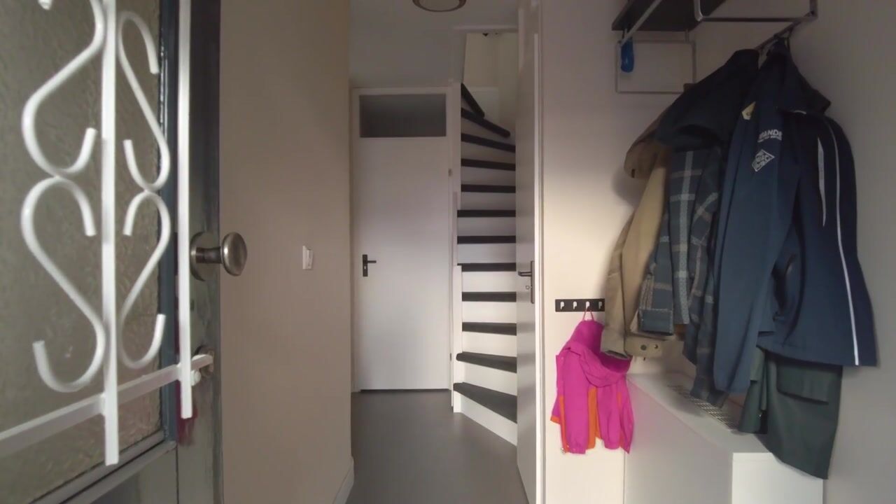 Video of Distelvink 33