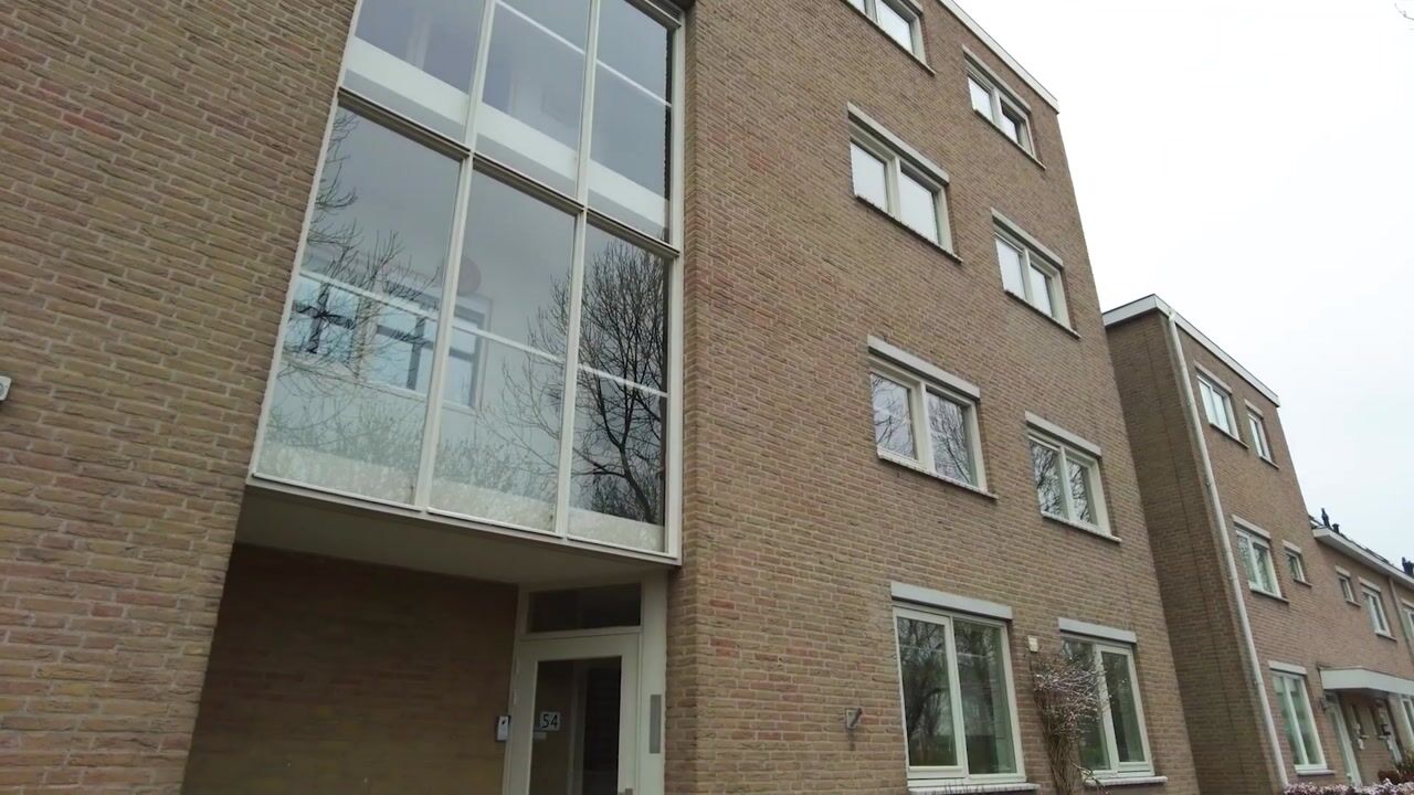 Video of Rosmolen 54