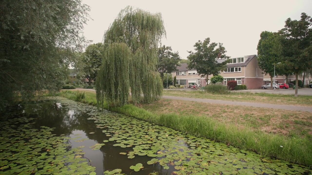 Video van Beatrixpark 81