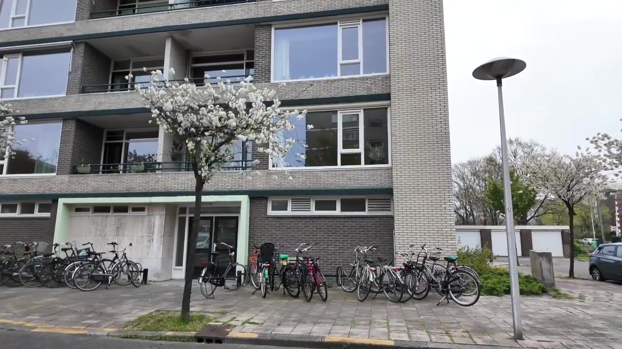 Video of Fruinplantsoen 79