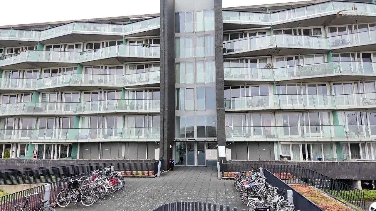 Video of Moerashoeve 120