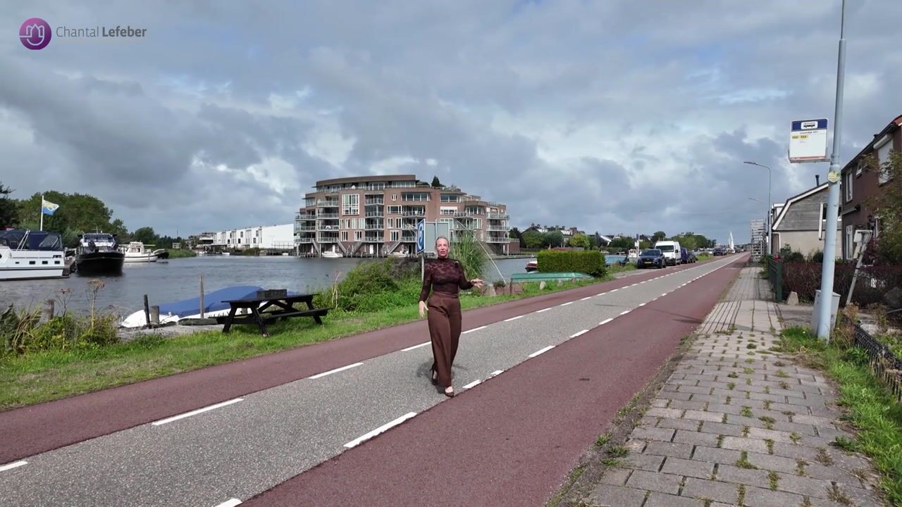 Video of Lisserdijk 419