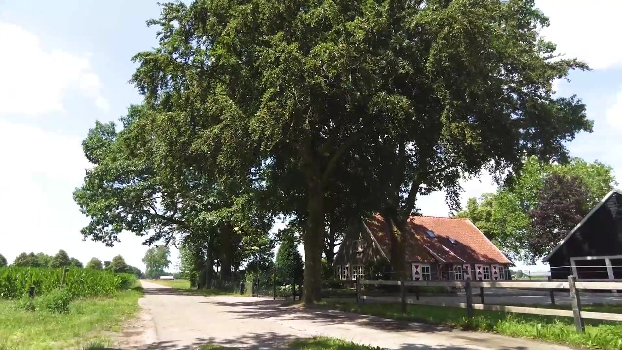 Video van Tempelweg 3