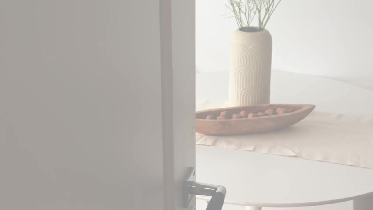 Video van Saenredamstraat 36-B