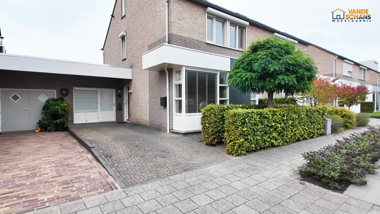 Video van Buizerd 11