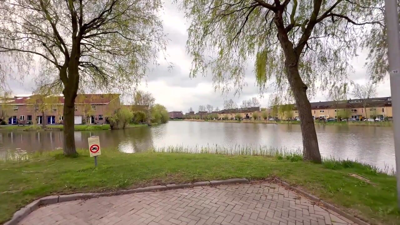 Video of Witmolen 131