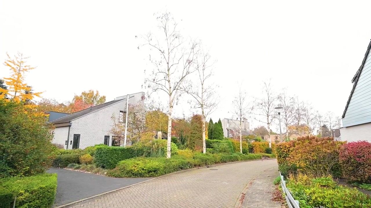 Video van De Hulle 1