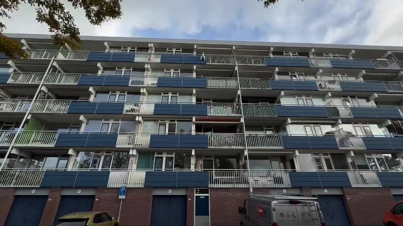 Video of Wilddreef 74