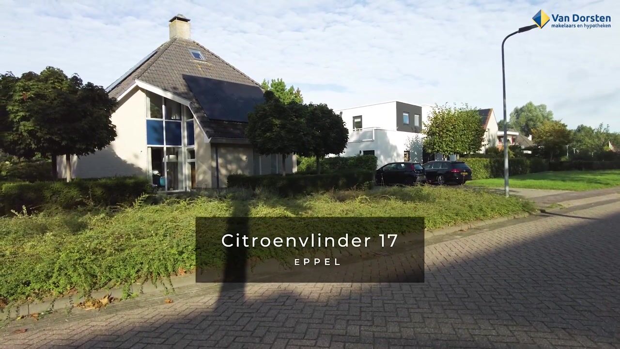 Video van Citroenvlinder 17