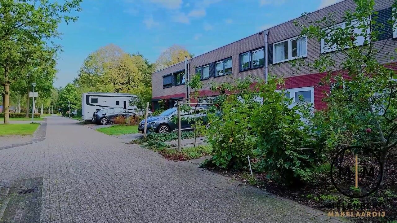 Video van Sneeuwuil 15