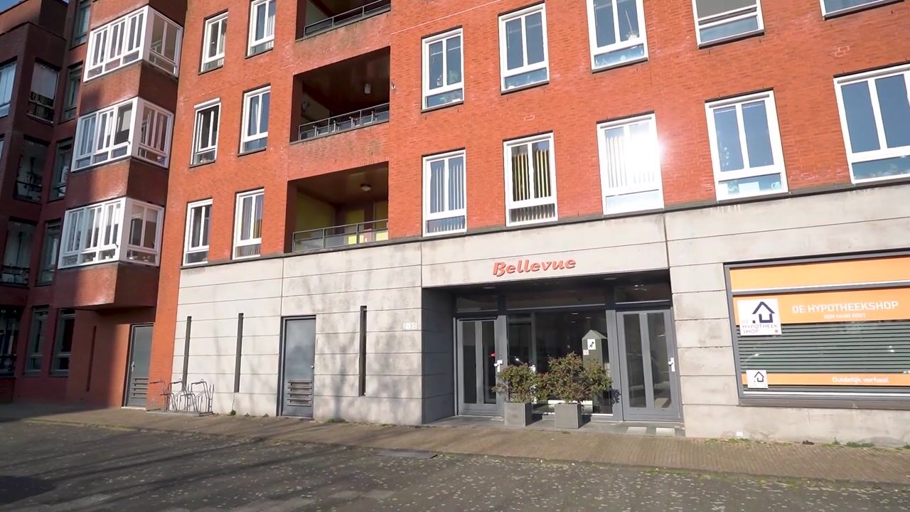 Video van Zwaluwsingel 14
