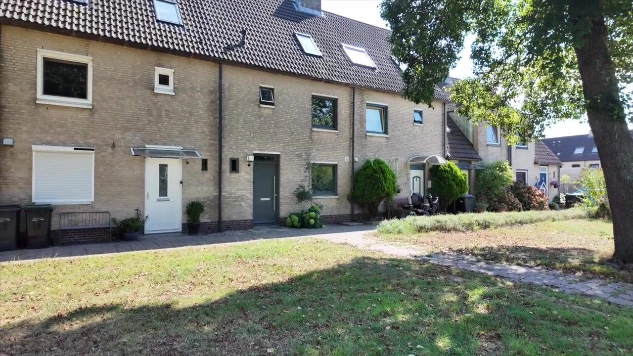 Video van Amstelplantsoen 8