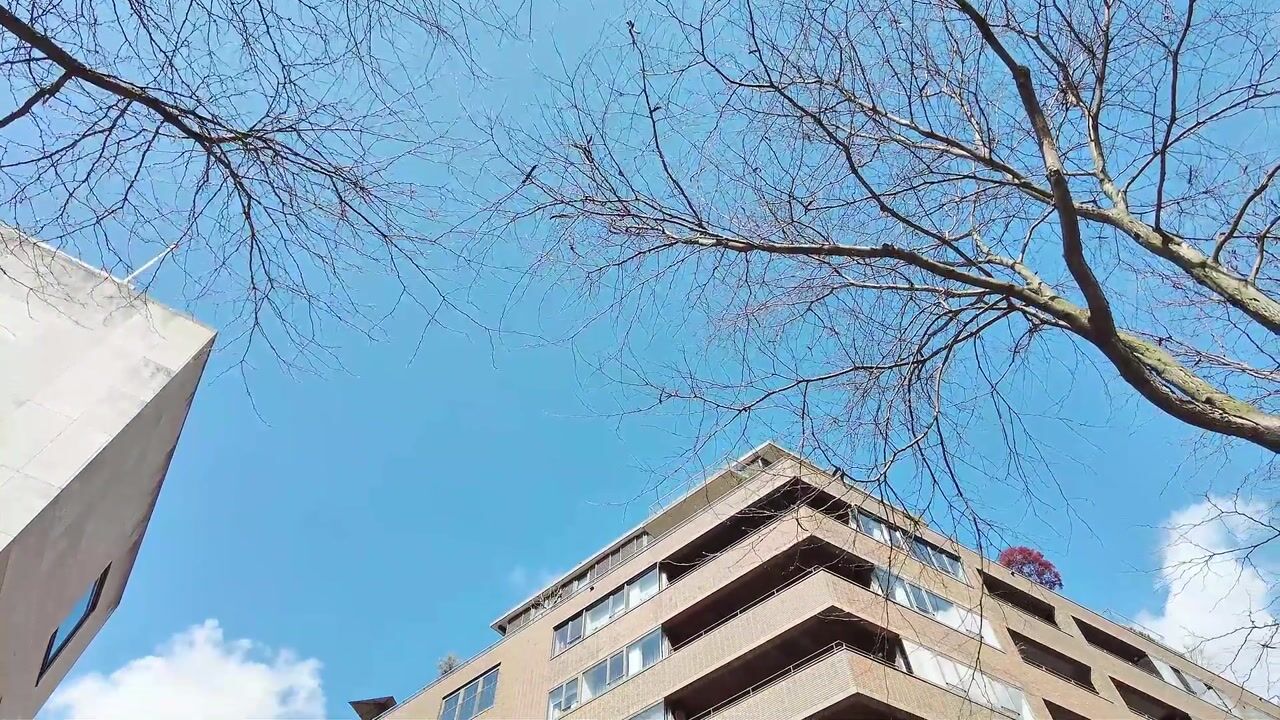 Video van Oppert 224
