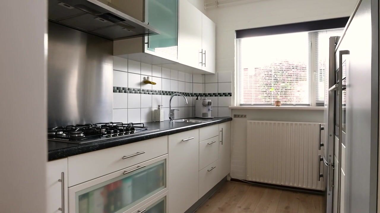 Video van Maagdepalm 144