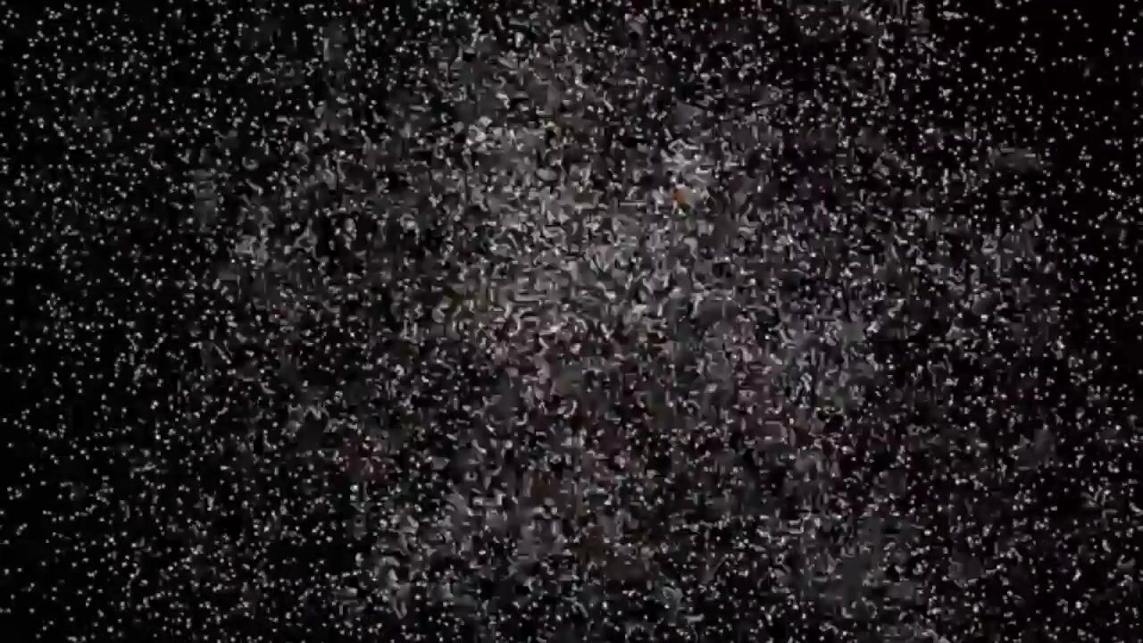 Video of Werner Helmichstraat 1-E