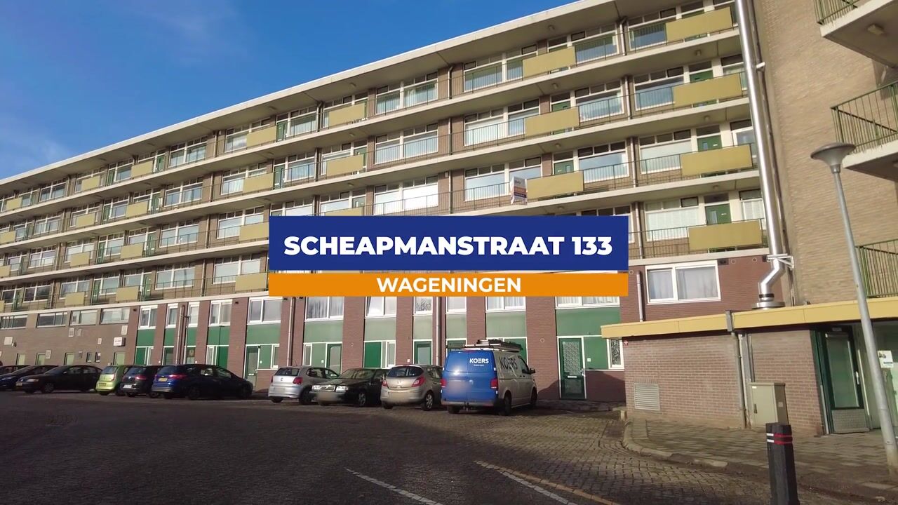 Bekijk video van Schaepmanstraat 133