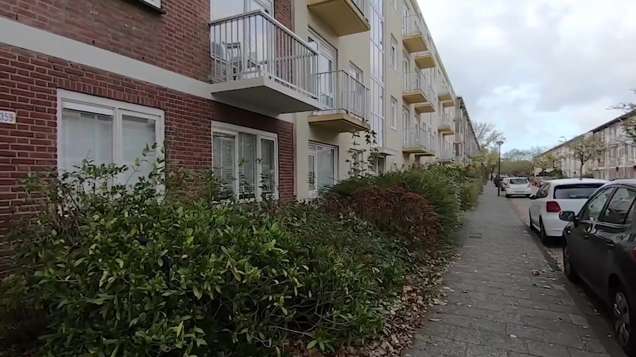 Video van Hoflaan 357