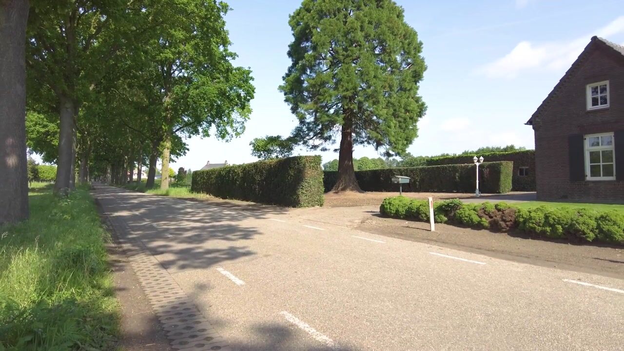 Video of Graafsedijk 6