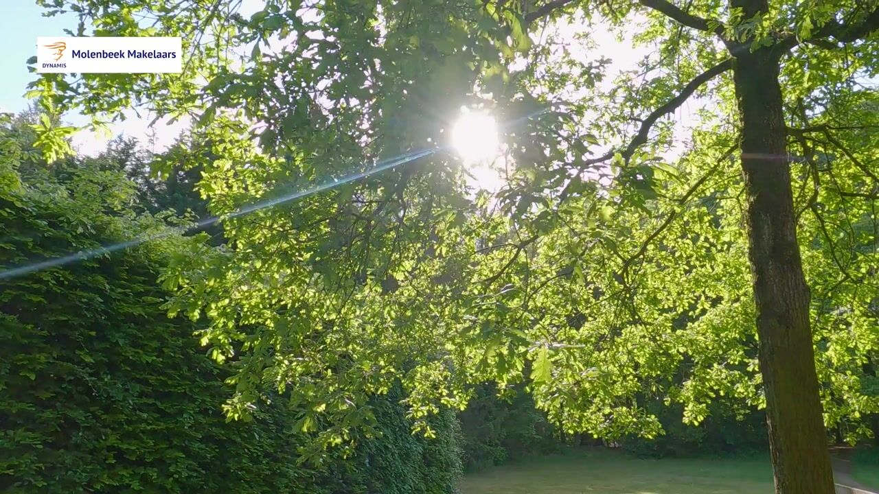 Video van Beukenburgerlaan 65