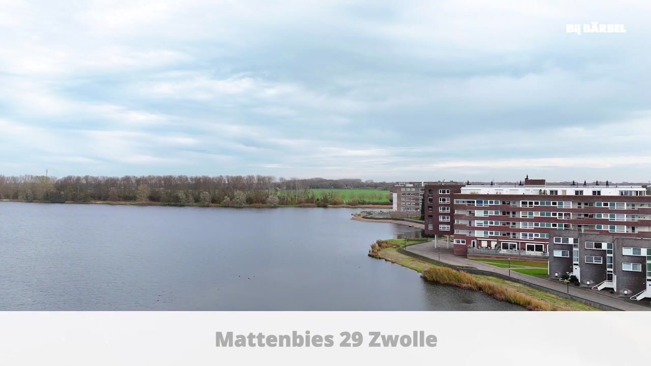 Video of Mattenbies 29