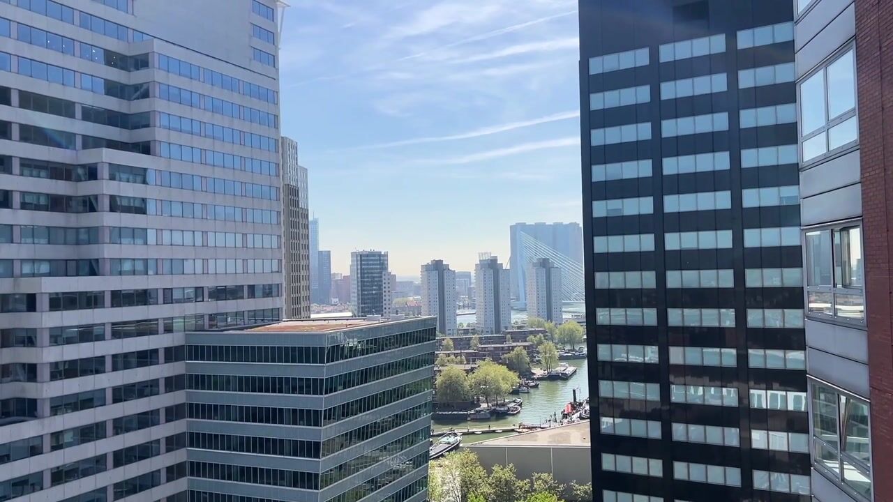 Video of Bulgersteyn 7211