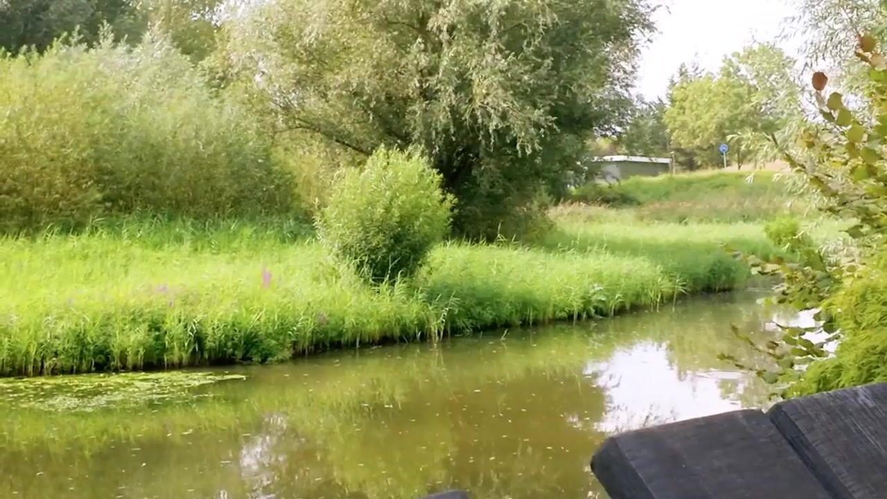 Video van Spijksedijk 13