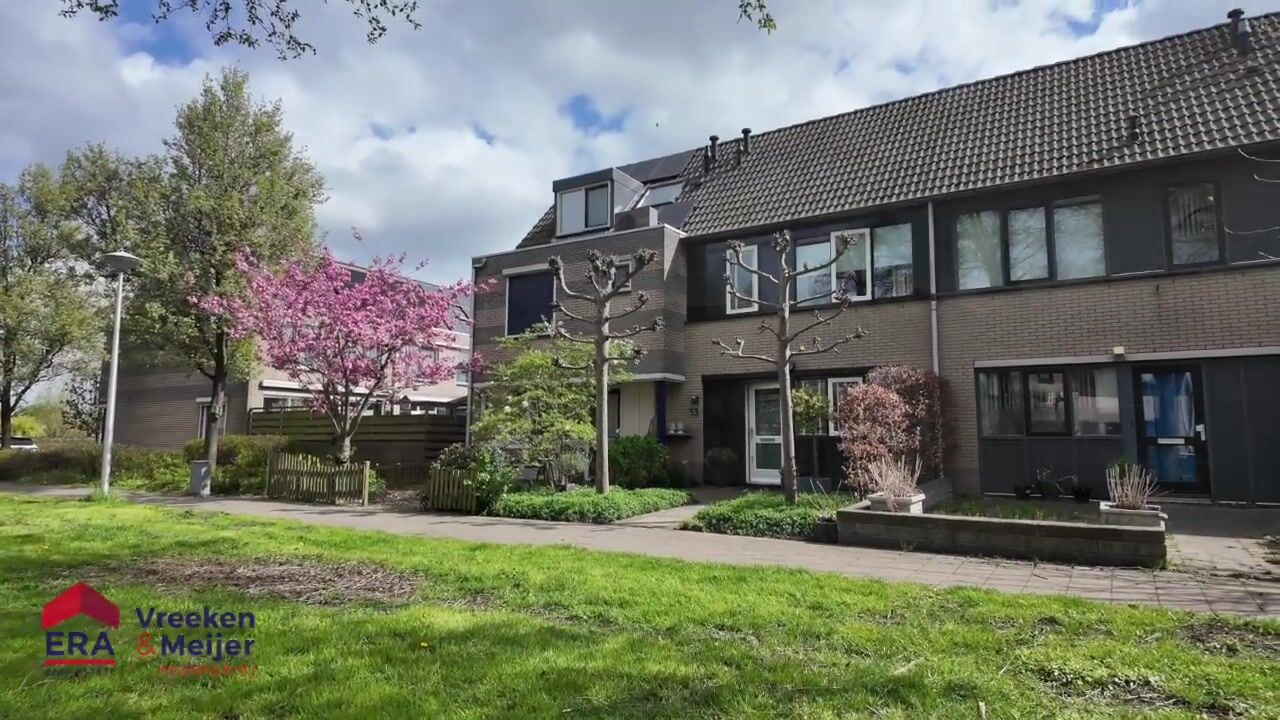 Video van Meerval 33