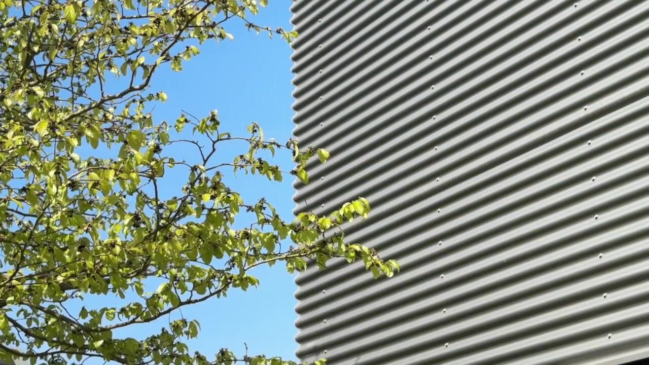 Video van IJsvogel 14