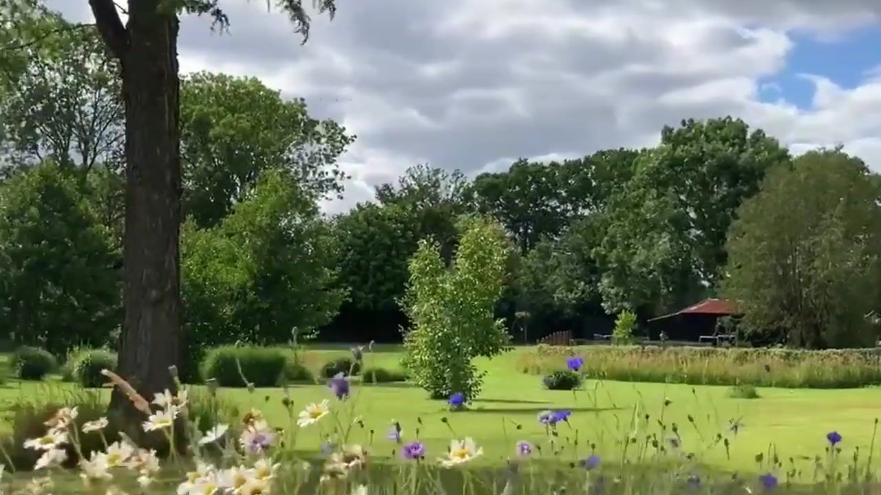 Video van Nieuwlandenweg 1