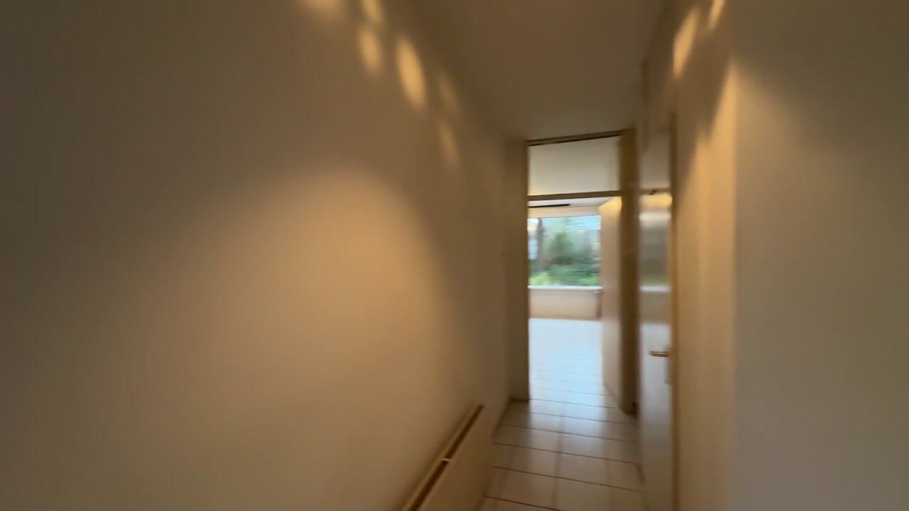 Video van Boterbloem 55